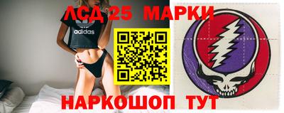 Альфа ПВП Донецк