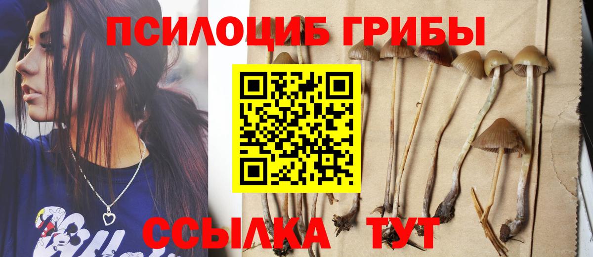 Галлюциногенные грибы Psilocybine cubensis Котельники