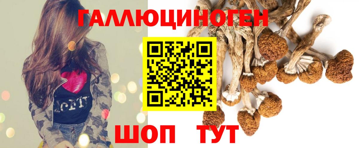 Котельники  Галлюциногенные грибы Psilocybe  Вход с VPN 
